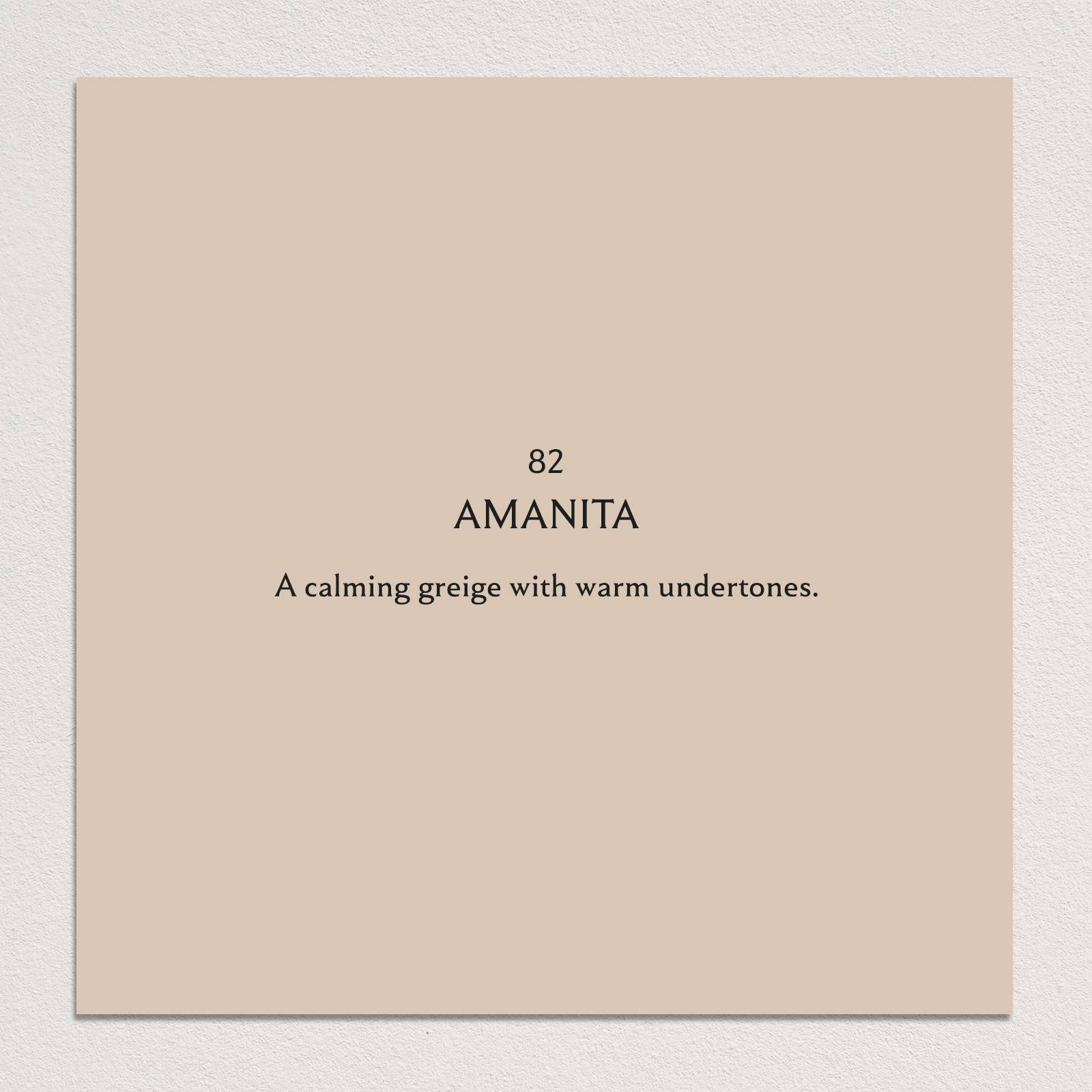 Amanita Paint 82 | Luxury Taupe Paint | House of Hackney